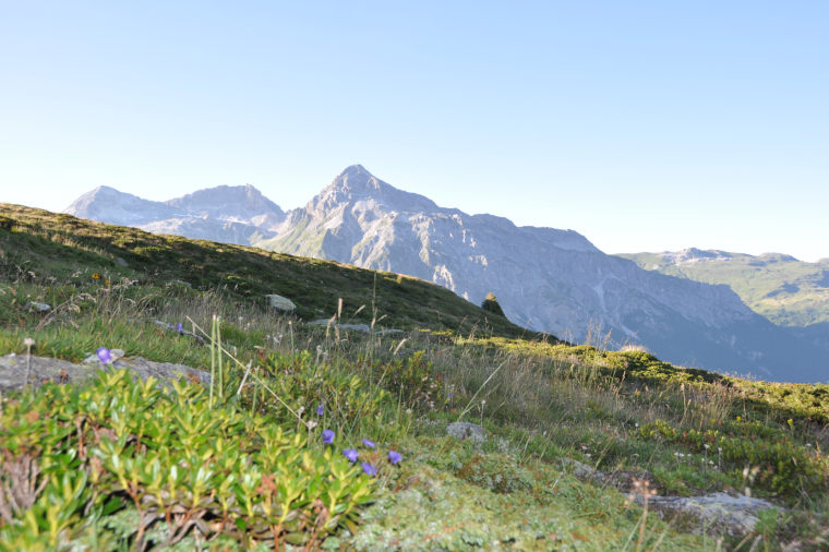 VALLÉE VERTE: KÄSEGENUSS ‒ EINE KUNST FÜR ALLE SINNE
