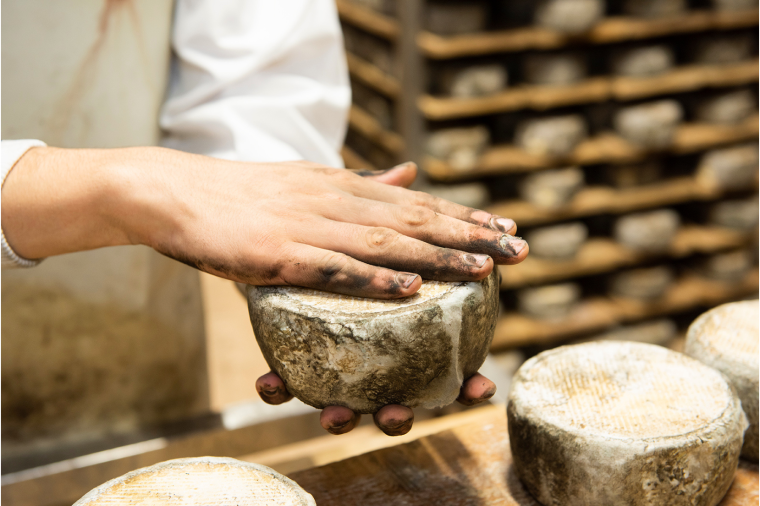 VALLÉE VERTE: KÄSEGENUSS ‒ EINE KUNST FÜR ALLE SINNE