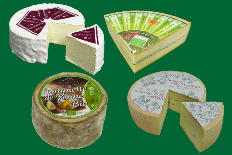 VALLÉE VERTE: KÄSEGENUSS ‒ EINE KUNST FÜR ALLE SINNE