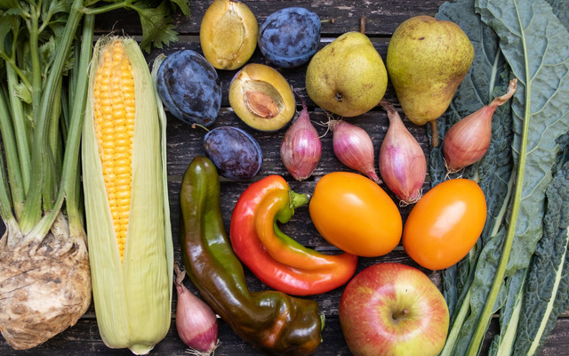 Saisonales Gemüse und Obst Teaser