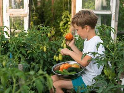 Kinder, Kinder, kommt zu Tisch