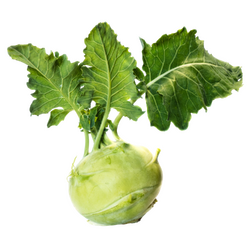 Kohlrabi