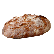 Mailänder