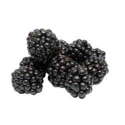 Brombeeren
