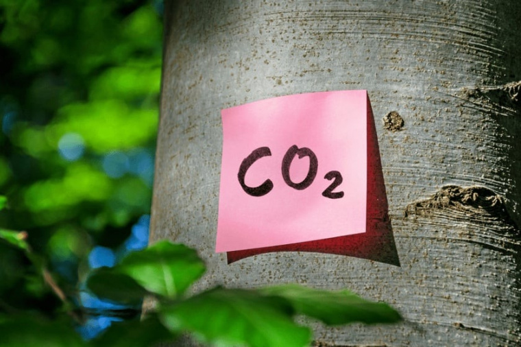 Zettel mit CO2 am Baum