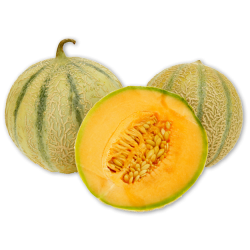 Melone Charentais/Cantaloupe