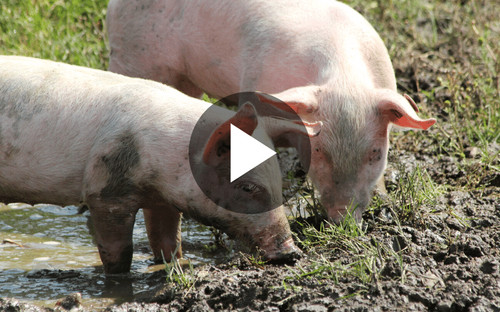 Zu Besuch bei unseren Hersteller*innen
