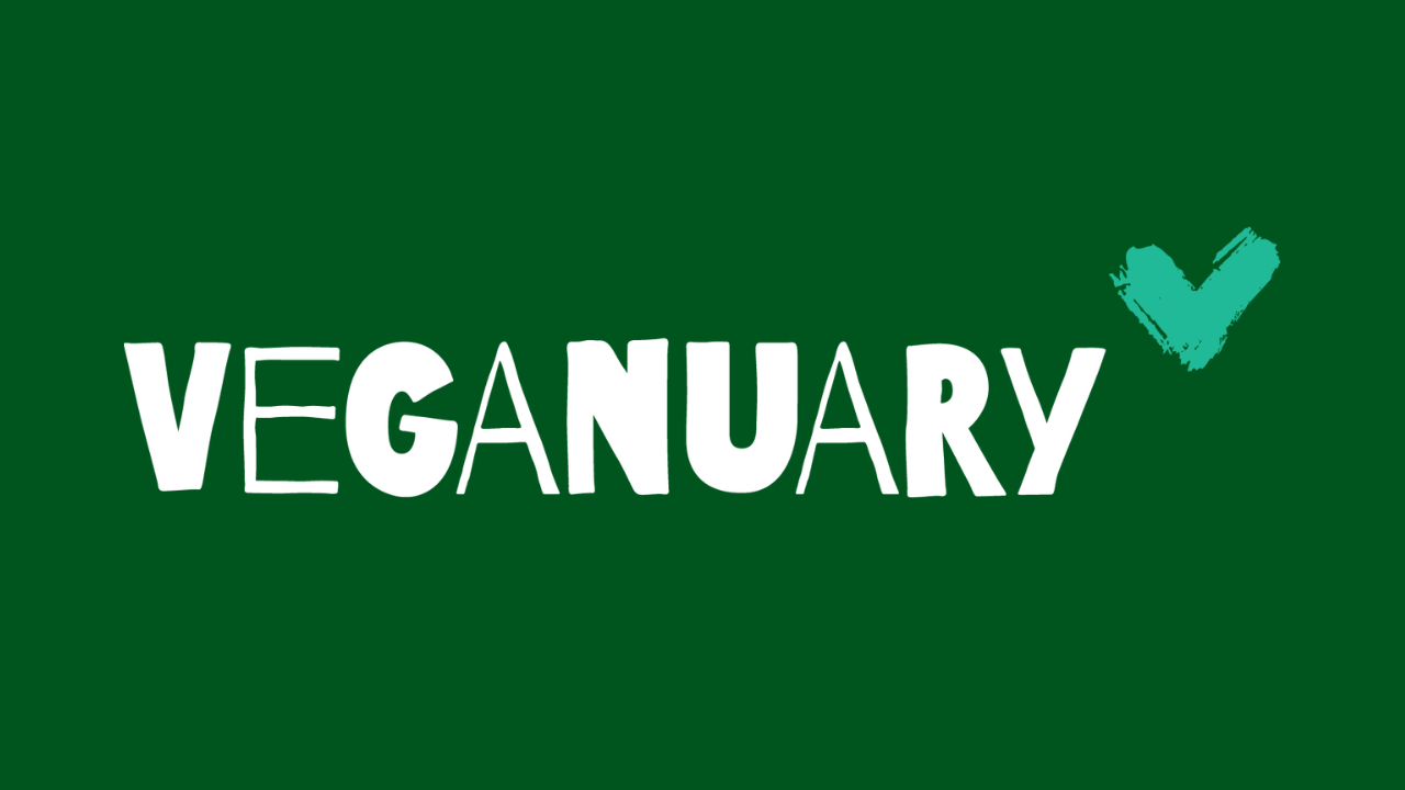 Veganuary BIO COMPANY SE