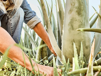 Santaverde: Schönheit in ihrer reinsten Form