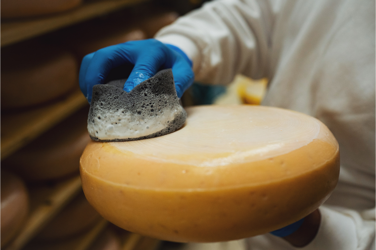 Molkerei Söbbeke: Handwerkskunst aus Weidemilch