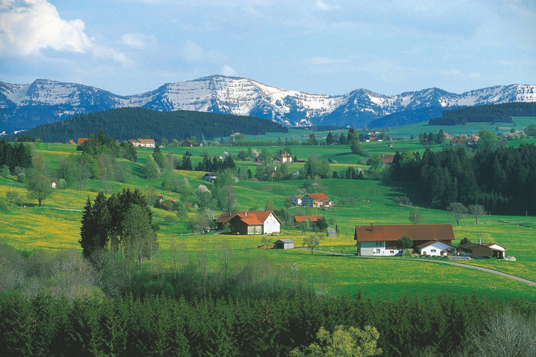 ÖMA: Wo Käse mehr ist als nur Geschmack