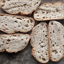 Wiener Brot Galerie Bild 6