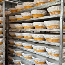 Wiener Brot Galerie Bild 7