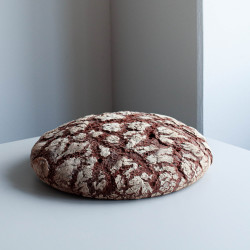 Wiener Brot Galerie Bild 8