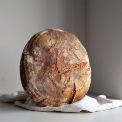 Wiener Brot Galerie Bild 15
