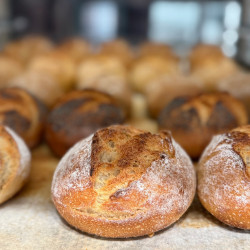 Wiener Brot Galerie Bild 11