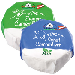 Camembert